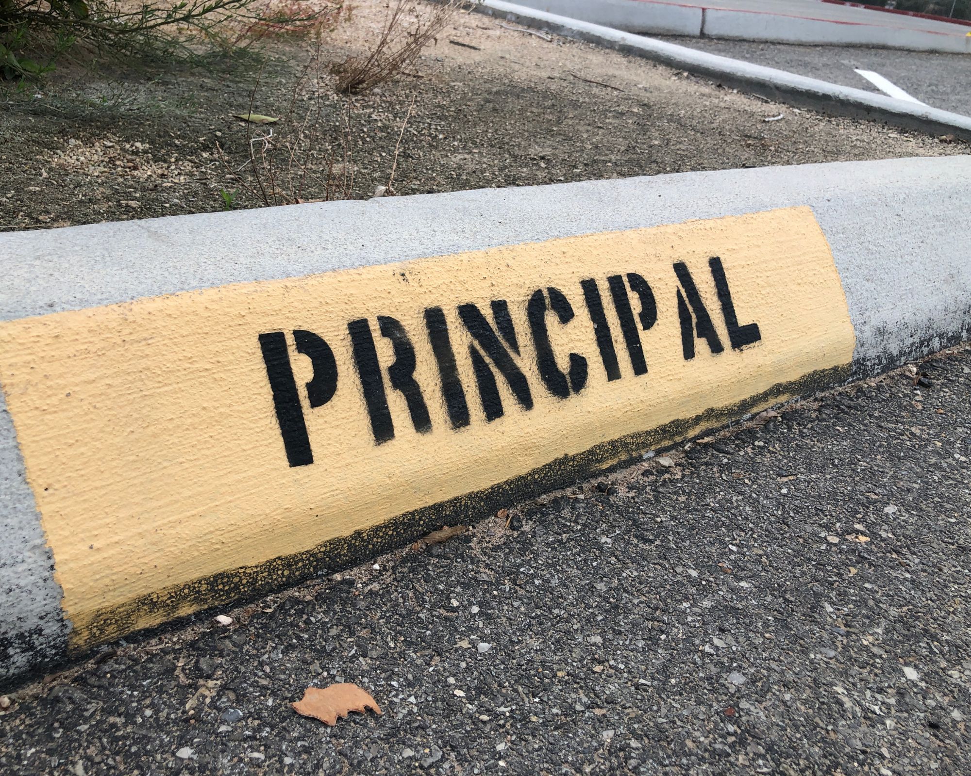 So You Think You Want To Be A Principal Educational Renaissance